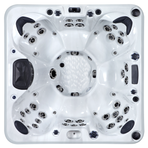 Platinum Spas OEM 2
